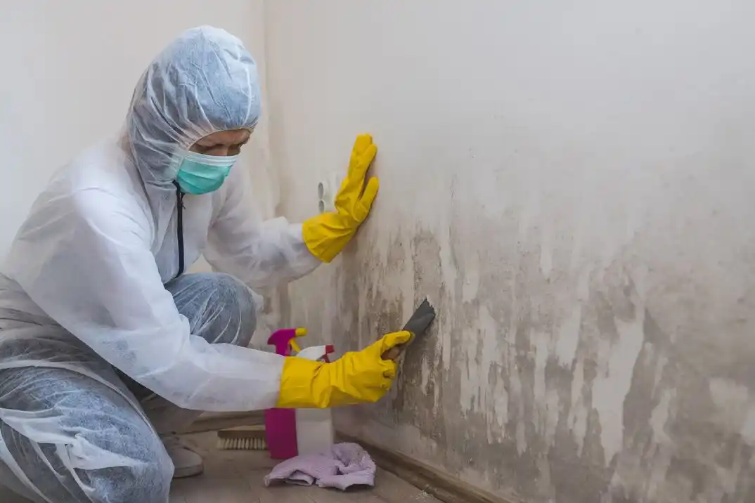 water damage restoration service Interlake